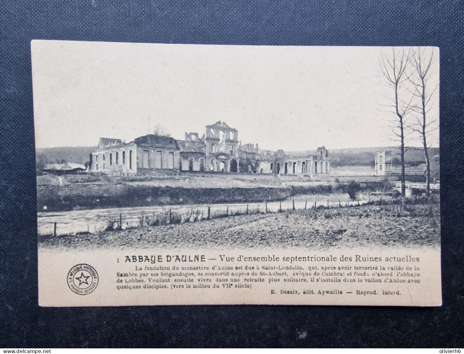 CP BELGIQUE (V2402) ABBAYE D'AULNE (2 Vues) Vue D'ensemble Septentrionale Des Ruines Actuelles - Thuin