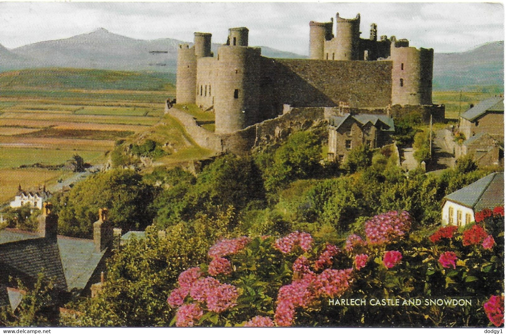 HARLECH CASTLE AND SNOWDON, GWYNEDD, WALES. Circa 1974 USED POSTCARD   Mm2 - Other & Unclassified