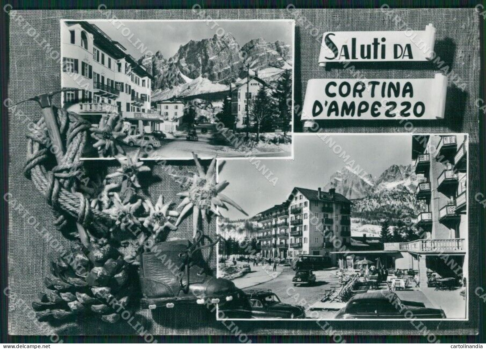 Belluno Cortina D'Ampezzo Saluti Da PIEGATA Foto FG Cartolina ZKM7140 - Belluno