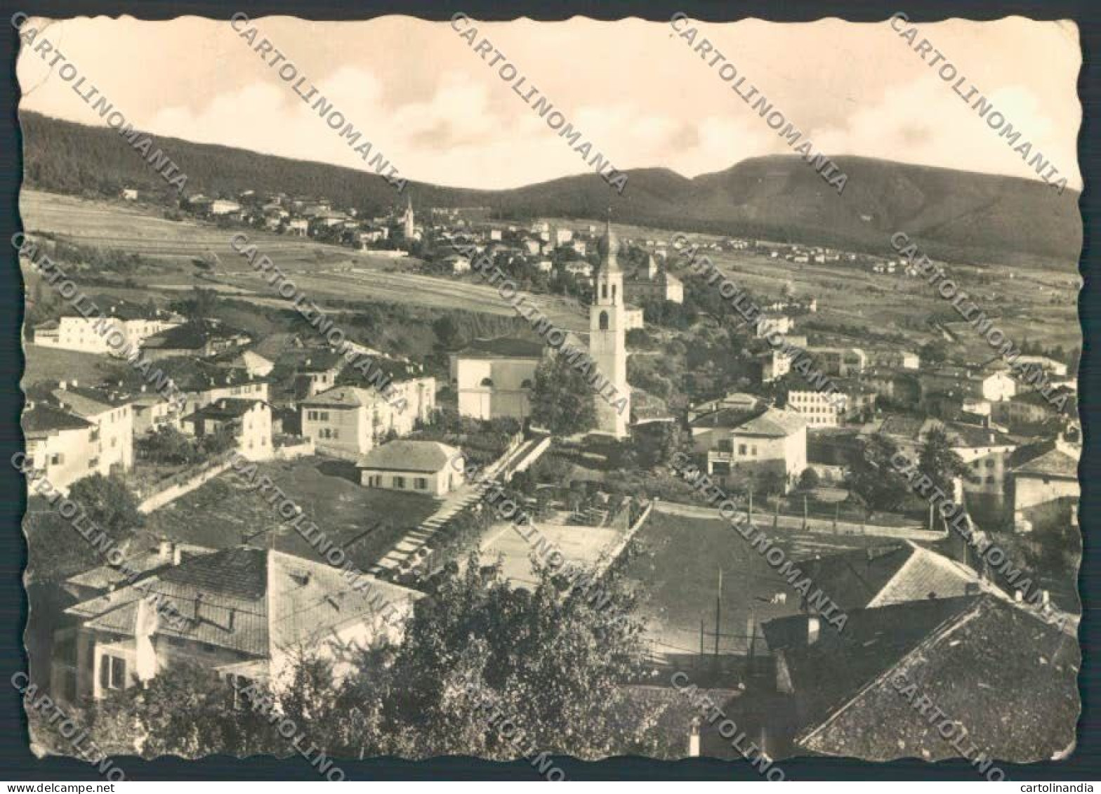 Trento Malosco Ronzone Fondo PIEGHINE Foto FG Cartolina ZF1238 - Trento