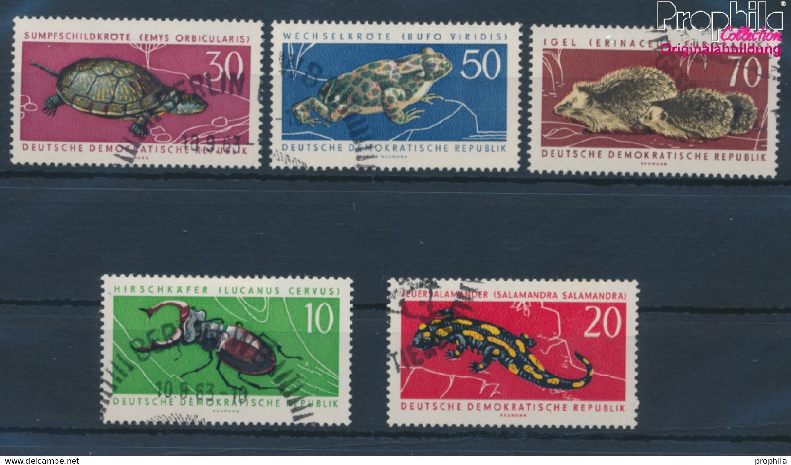 DDR 978-982 (kompl.Ausgabe) Gestempelt 1963 Geschützte Tiere (10392231 - Usados