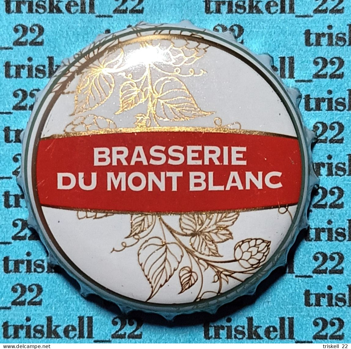 Brasserie Du Mont Blanc    Mev31 - Bière