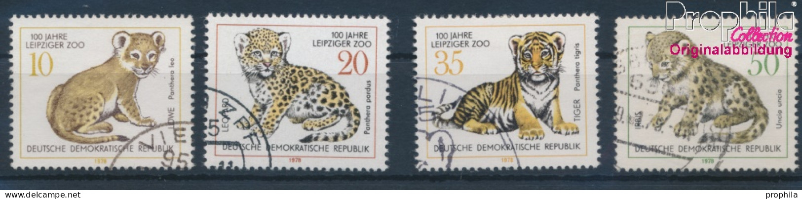 DDR 2322-2325 (kompl.Ausgabe) Gestempelt 1978 Leipziger Zoo - Katzenbabys (10392568 - Usati