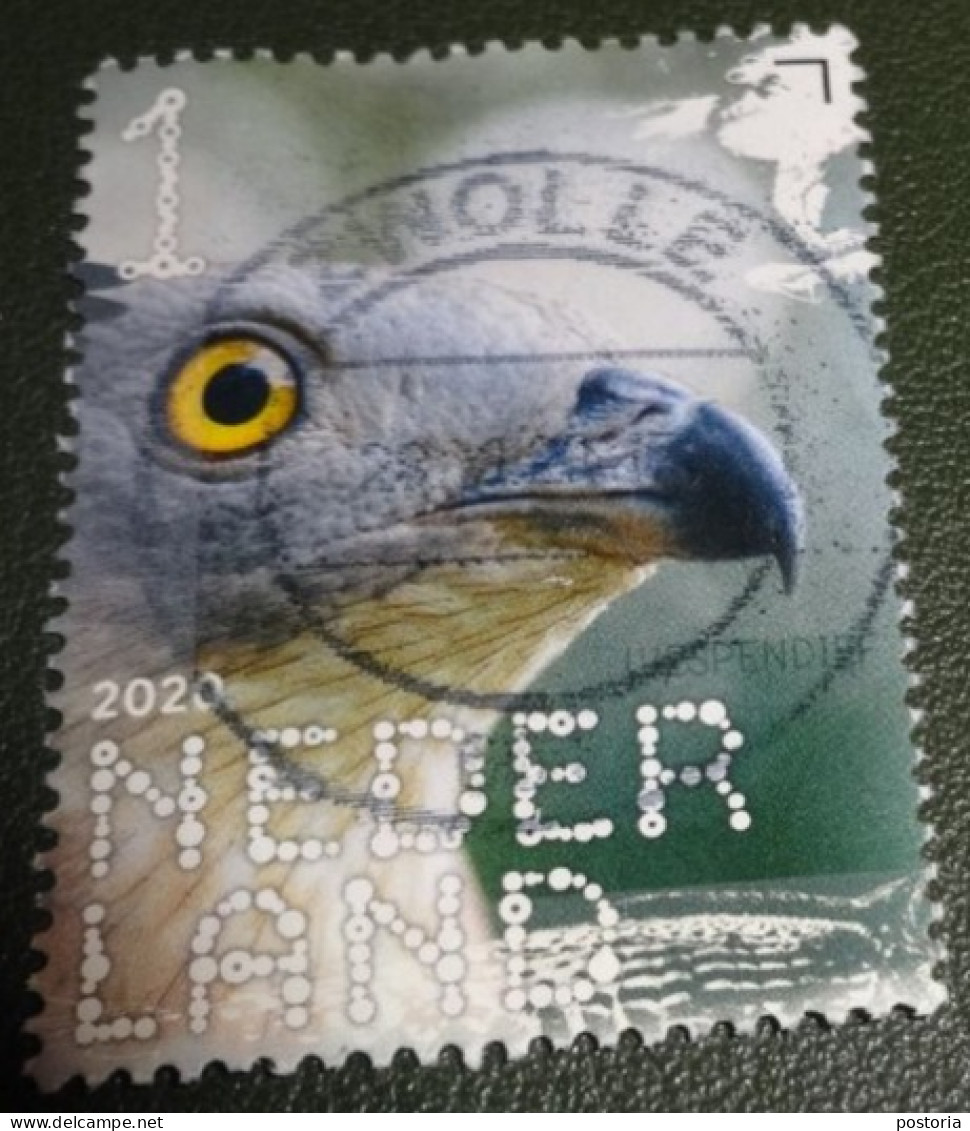 Nederland - NVPH - Xxxx - 2020 - Gebruikt - Beleef De Natuur - Wespendief - Used Stamps