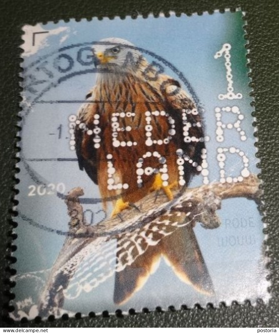 Nederland - NVPH - Xxxx - 2020 - Gebruikt - Beleef De Natuur - Rode Wouw - Used Stamps