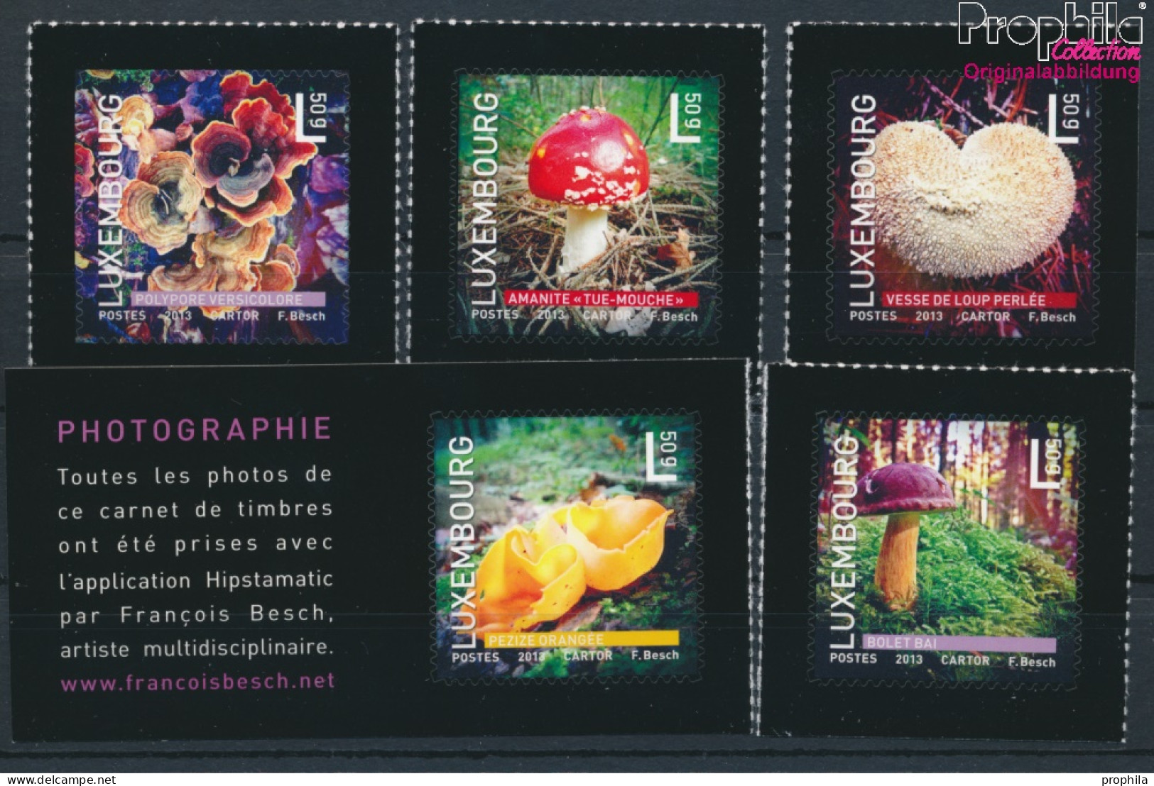 Luxemburg 1987-1991 (kompl.Ausg.) Postfrisch 2013 Einheimische Pilze (10377571 - Ungebraucht