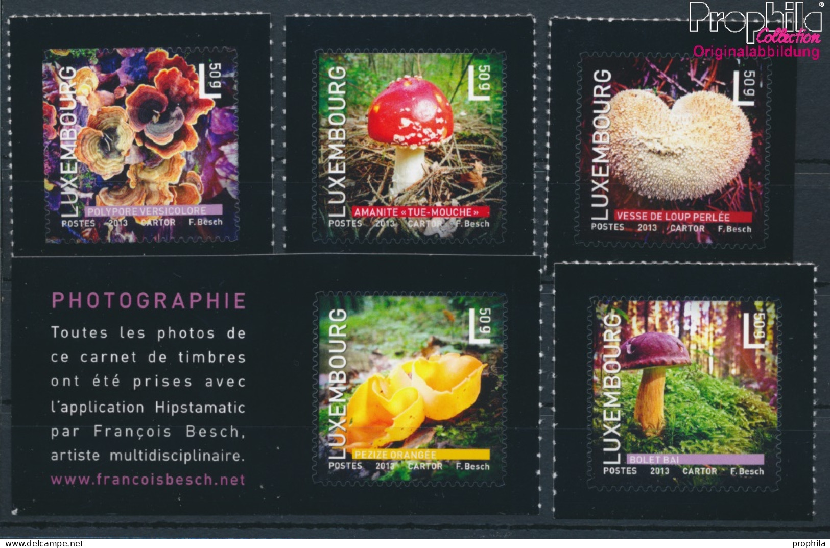 Luxemburg 1987-1991 (kompl.Ausg.) Postfrisch 2013 Einheimische Pilze (10377596 - Unused Stamps