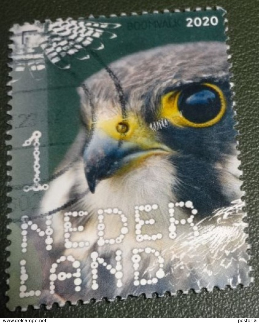 Nederland - NVPH - Xxxx - 2020 - Gebruikt - Beleef De Natuur - Boomvalk - Used Stamps