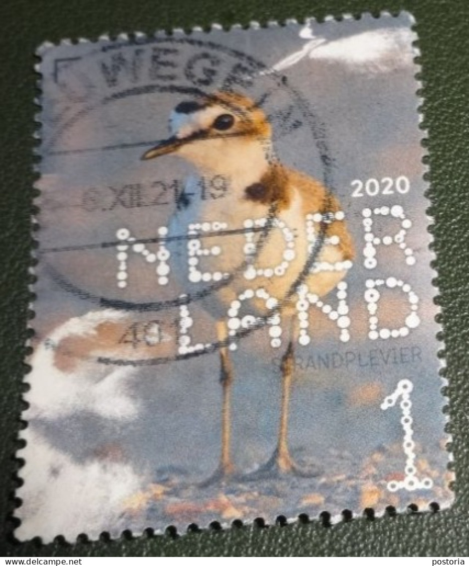 Nederland - NVPH - Xxxx - 2020 - Gebruikt - Beleef De Natuur - Strandplevier - Used Stamps