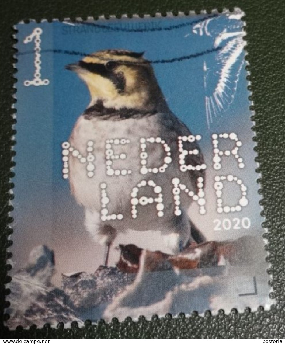 Nederland - NVPH - Xxxx - 2020 - Gebruikt - Beleef De Natuur - Strandleeuwerik - Used Stamps