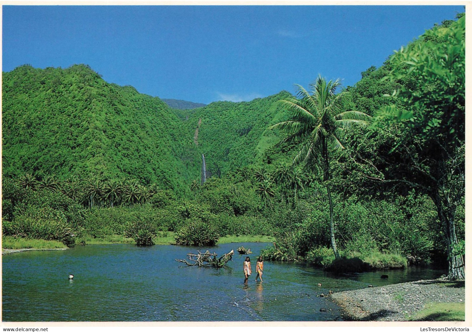 TAHITI - Waterfall At Vaiharuru (Hitia) - Cascade De Vaiharuru Dans Le District De Hitia - Carte Postale - Tahiti