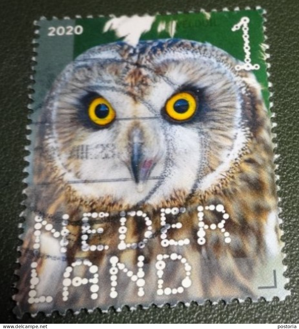 Nederland - NVPH - Xxxx - 2020 - Gebruikt - Beleef De Natuur - Velduil - Used Stamps
