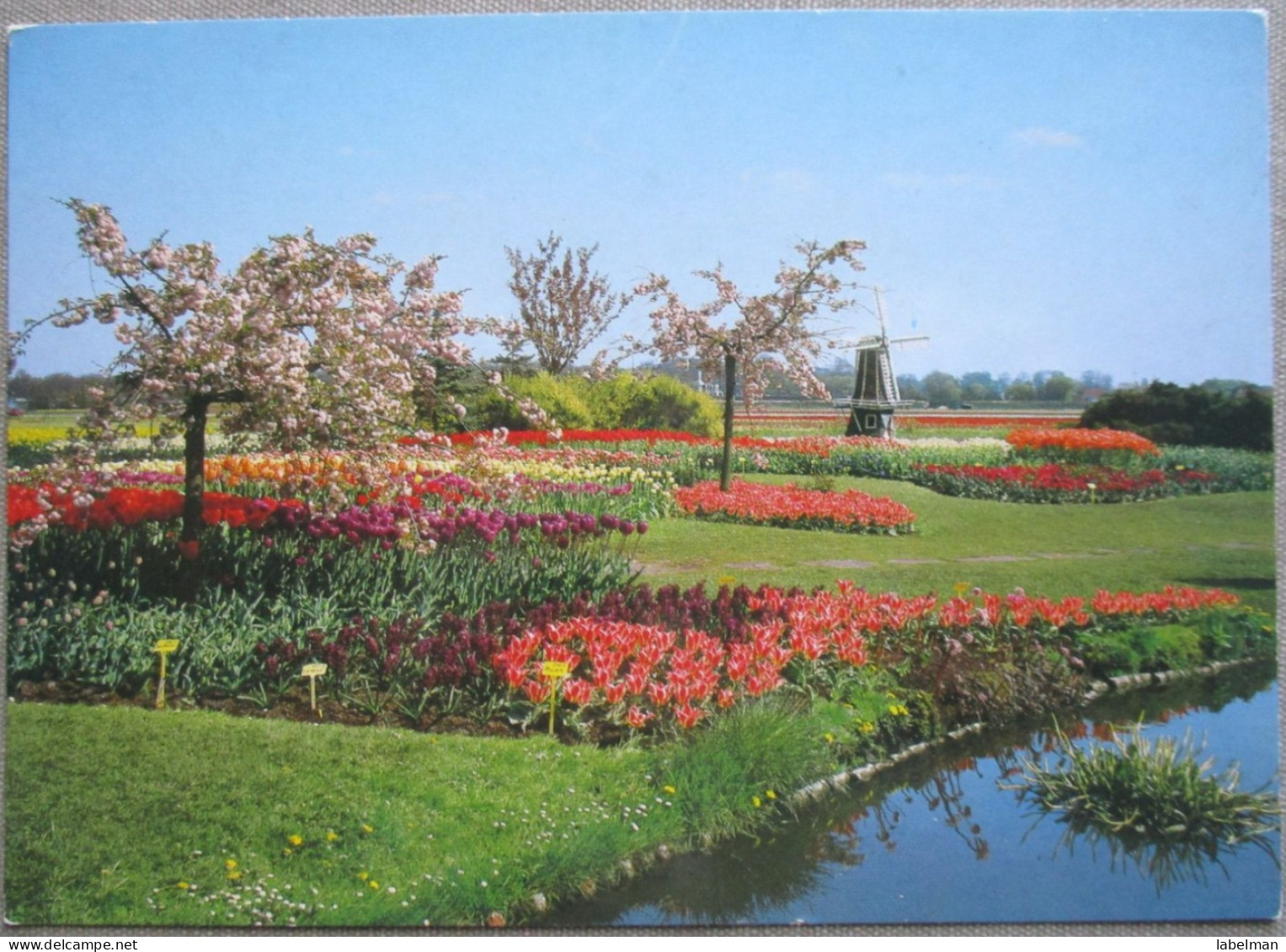 HOLLAND NETHERLAND LAND OF FLOWERS BLOEMENLAND POSTCARD CARTOLINA ANSICHTSKARTE CARTE POSTALE POSTKARTE CARD - Otros & Sin Clasificación