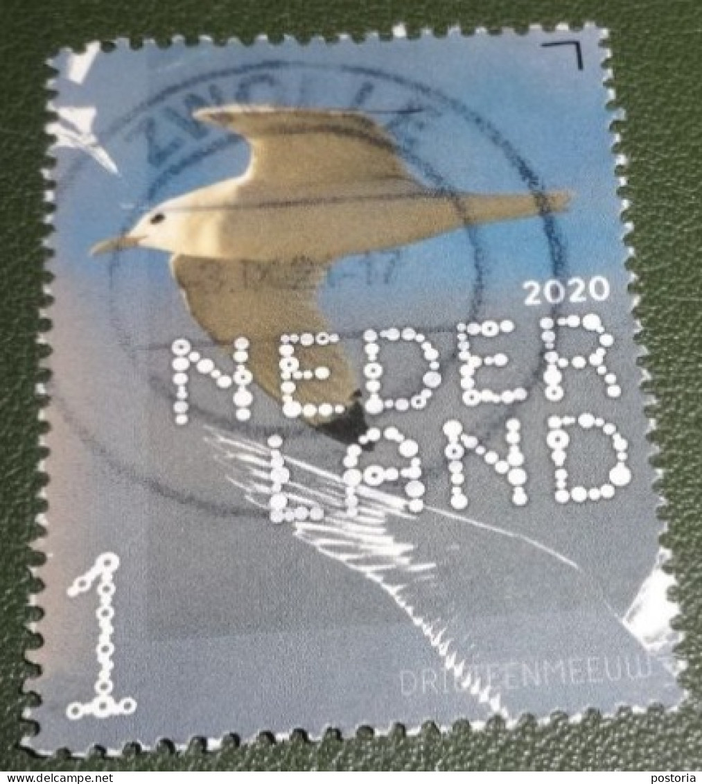Nederland - NVPH - Xxxx - 2020 - Gebruikt - Beleef De Natuur - Drieteenmeeuw - Used Stamps