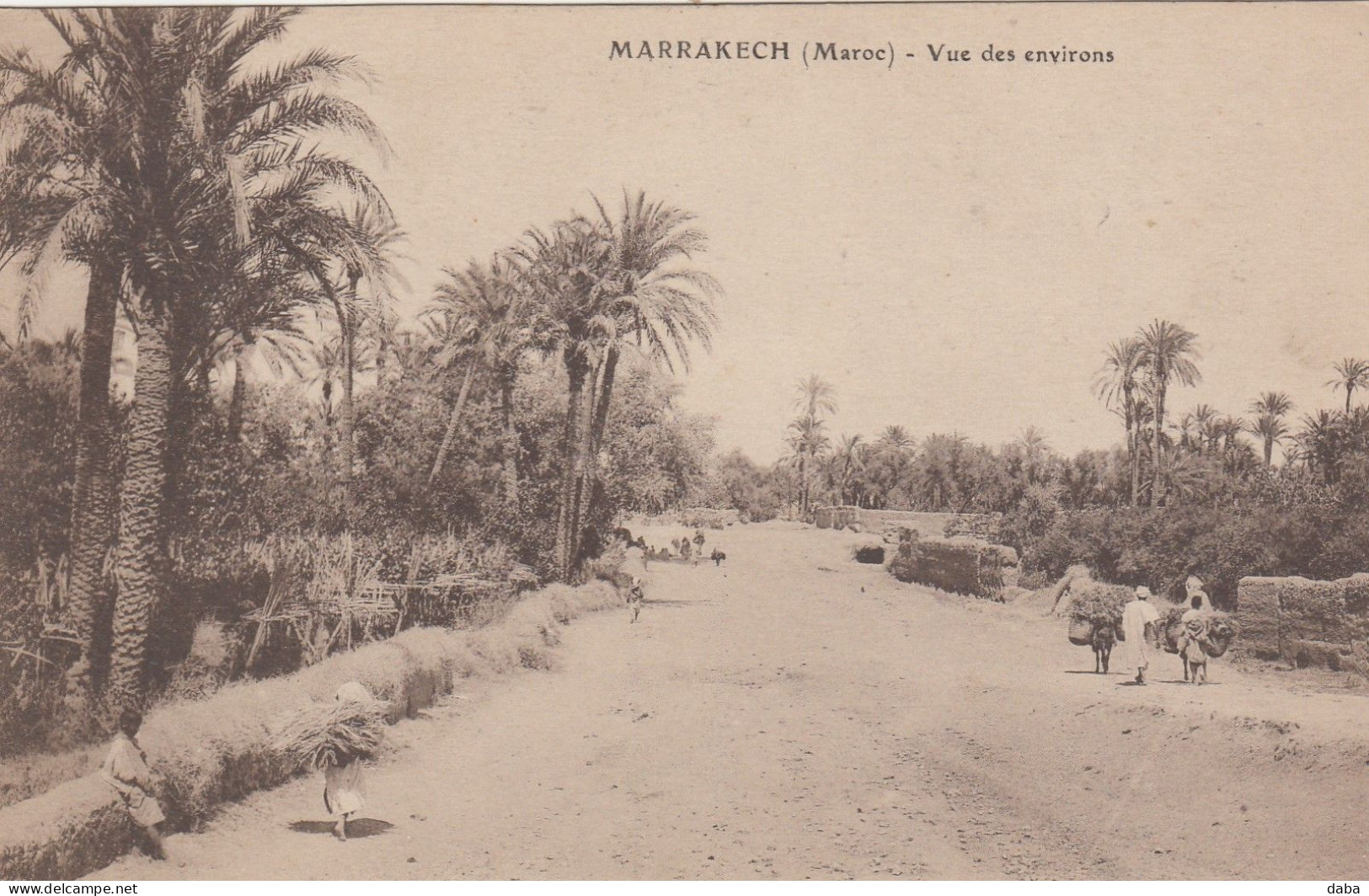 Maroc. Marrakech. Casablanca.  Lot De 3 Cartes. - Marrakech