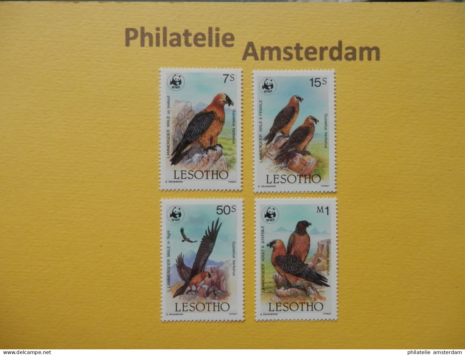 Lesotho 1986, WWF FAUNA BEARDED VULTURE LAMMERGIER: Mi 556-59, ** - Unused Stamps