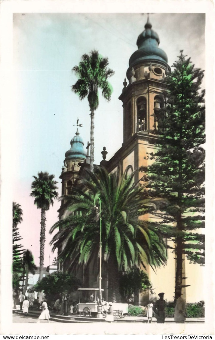 ESPAGNE - La Laguna (Tenerife) - La Catedral - La Cathédrale - The Cathedral - Animé - Colorisé - Carte Postale Ancienne - Tenerife