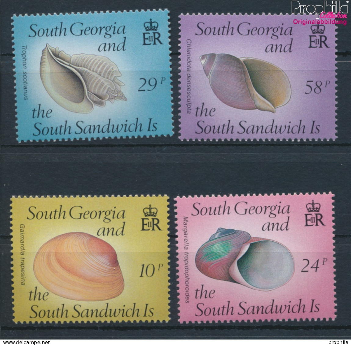 Südgeorgien Sandwich-Ins. 168-171 (kompl.Ausg.) Postfrisch 1988 Schnecken Und Muscheln (10368835 - Georgias Del Sur (Islas)