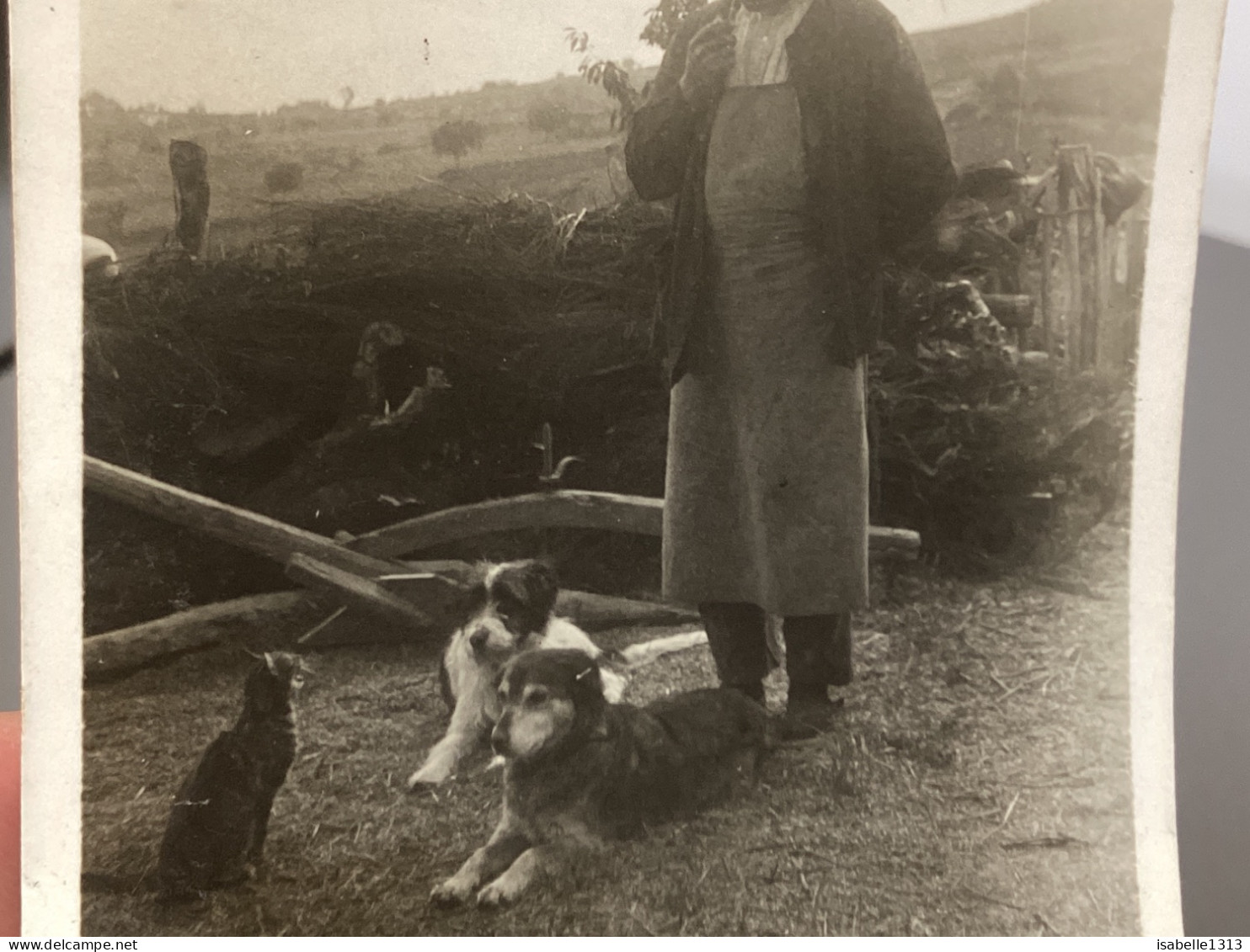 PHOTO SNAPSHOT 1920 Cannes à La Campagne En Tablier à Ses Pieds, Chien Chat Qui Les Regarde - Places