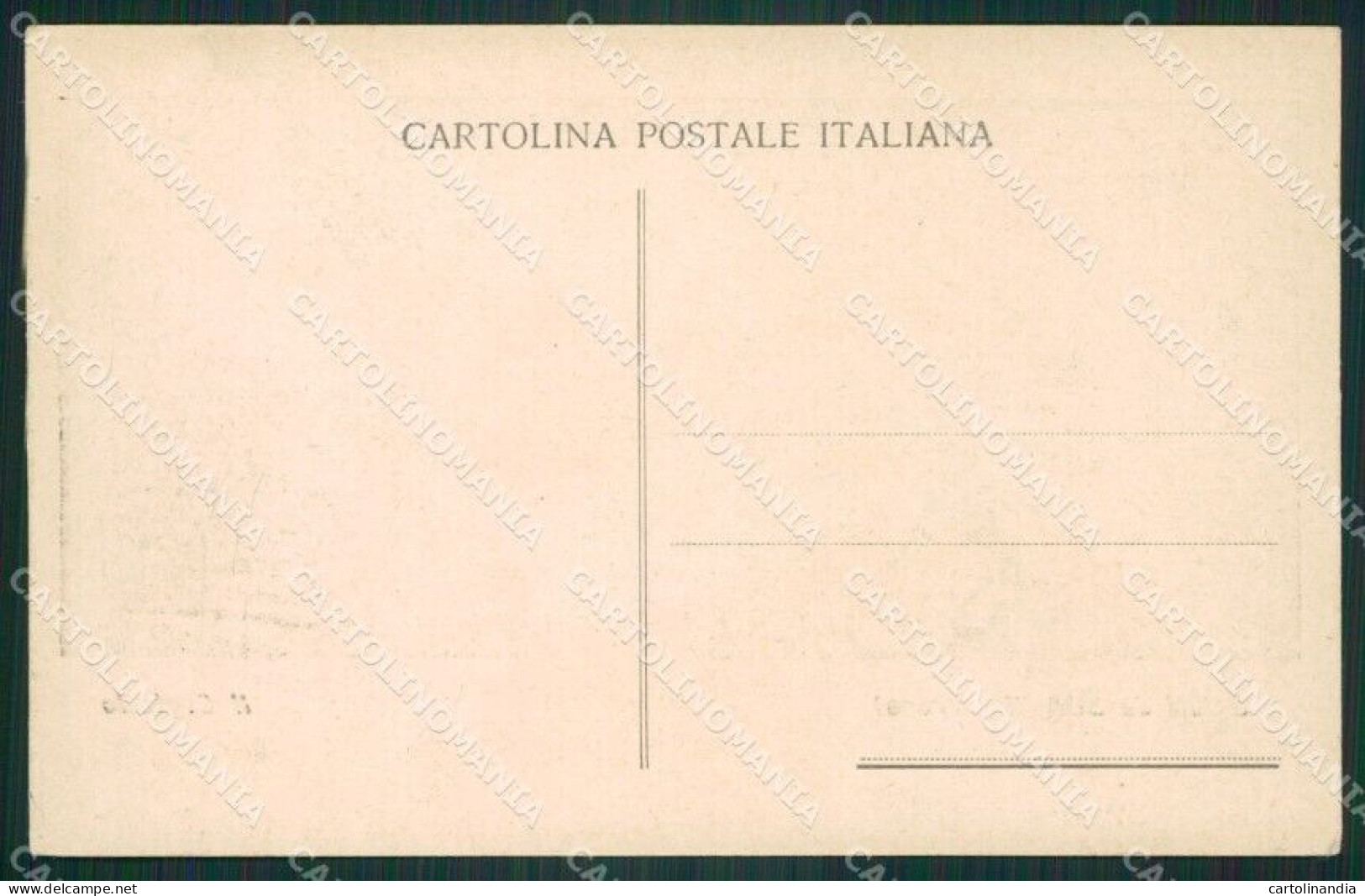 Verona Soave Cartolina ZKM8959 - Verona
