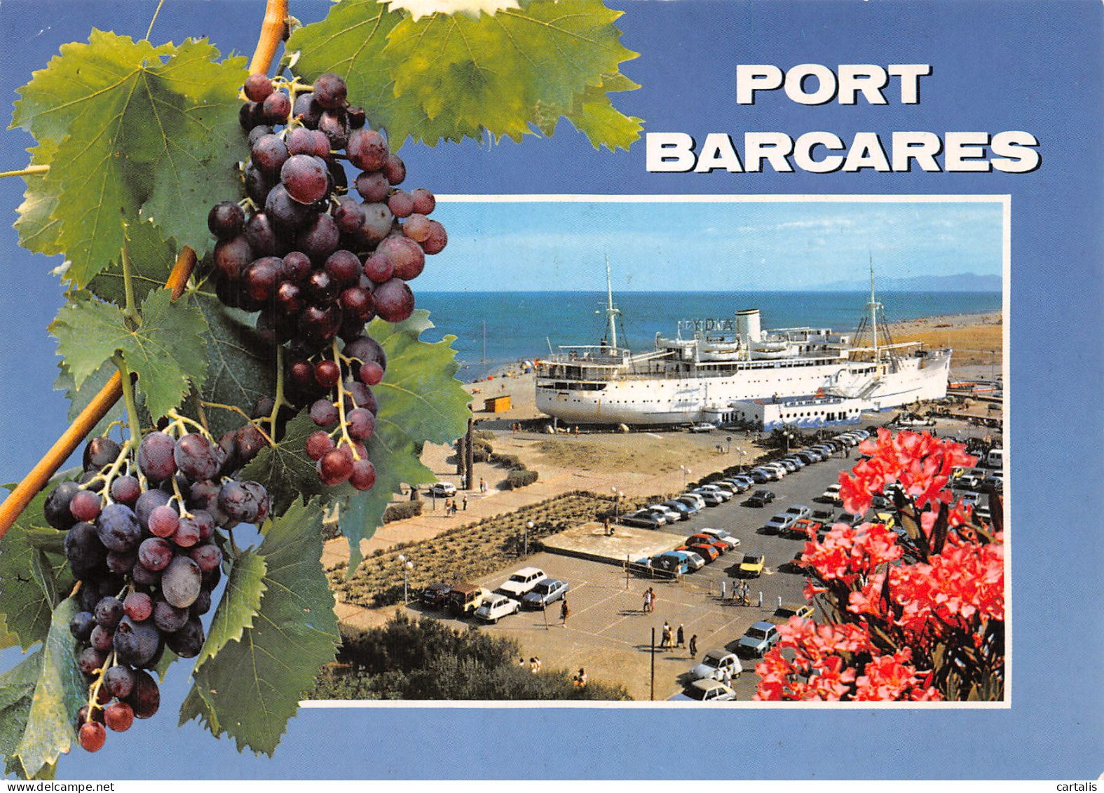 66-PORT BARCARES-N°4163-A/0143 - Port Barcares