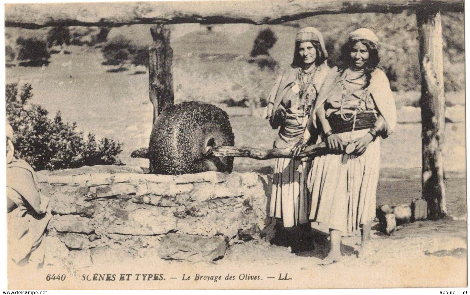 AFRIQUE DU NORD MAGHREB PETITS METIERS SCENES ET TYPES : LE BROYAGE DES OLIVES - CIRCULEE D'AIT LIAS - Profesiones