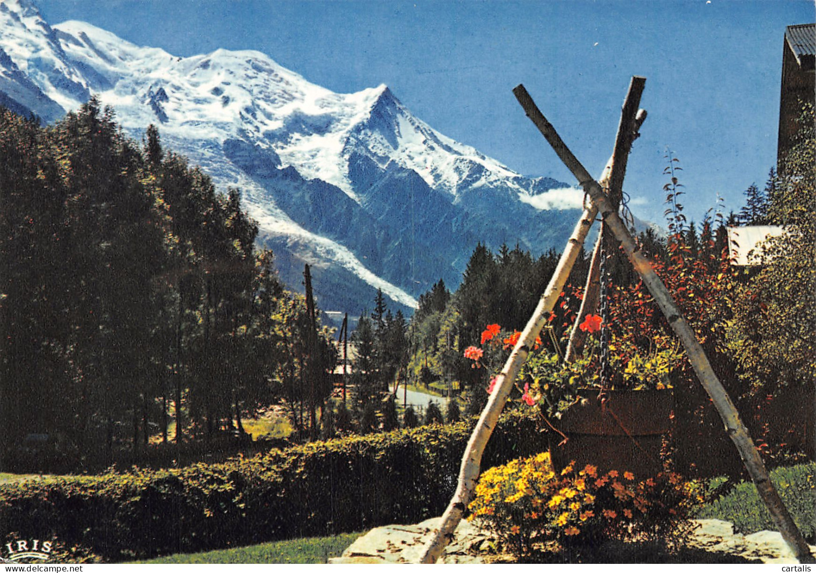 74-CHAMONIX MONT BLANC-N°4163-D/0011 - Chamonix-Mont-Blanc