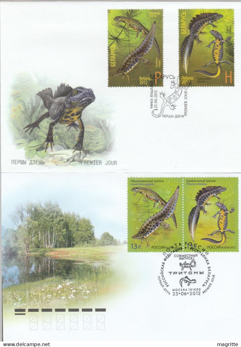 Bielorussie Russie 2012 FDC's Emission Commune Triton Salamandre Belarus Russia Joint Issue Newt Salamander FDC 's - Emissioni Congiunte