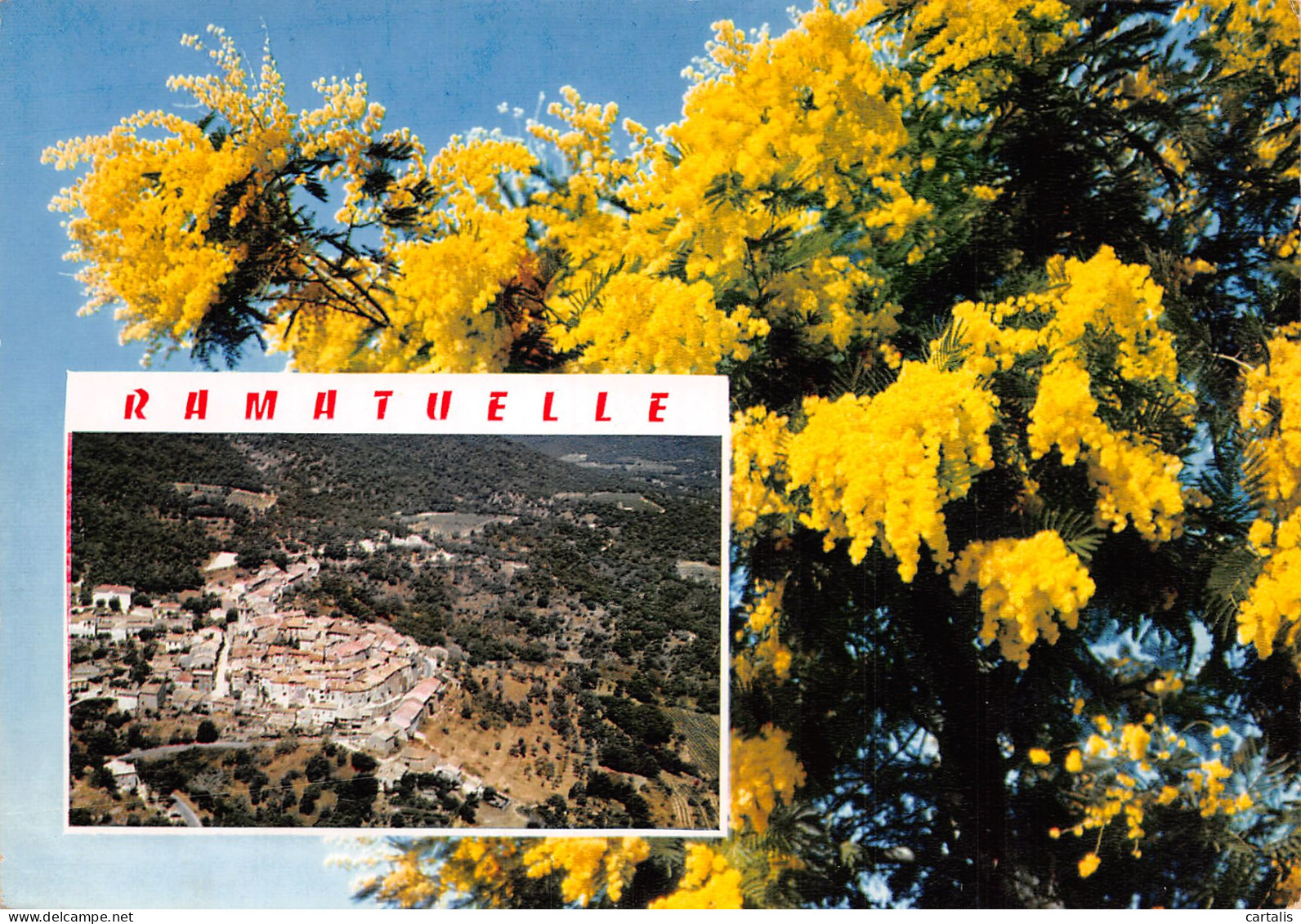 83-RAMATUELLE-N°4164-C/0101 - Ramatuelle