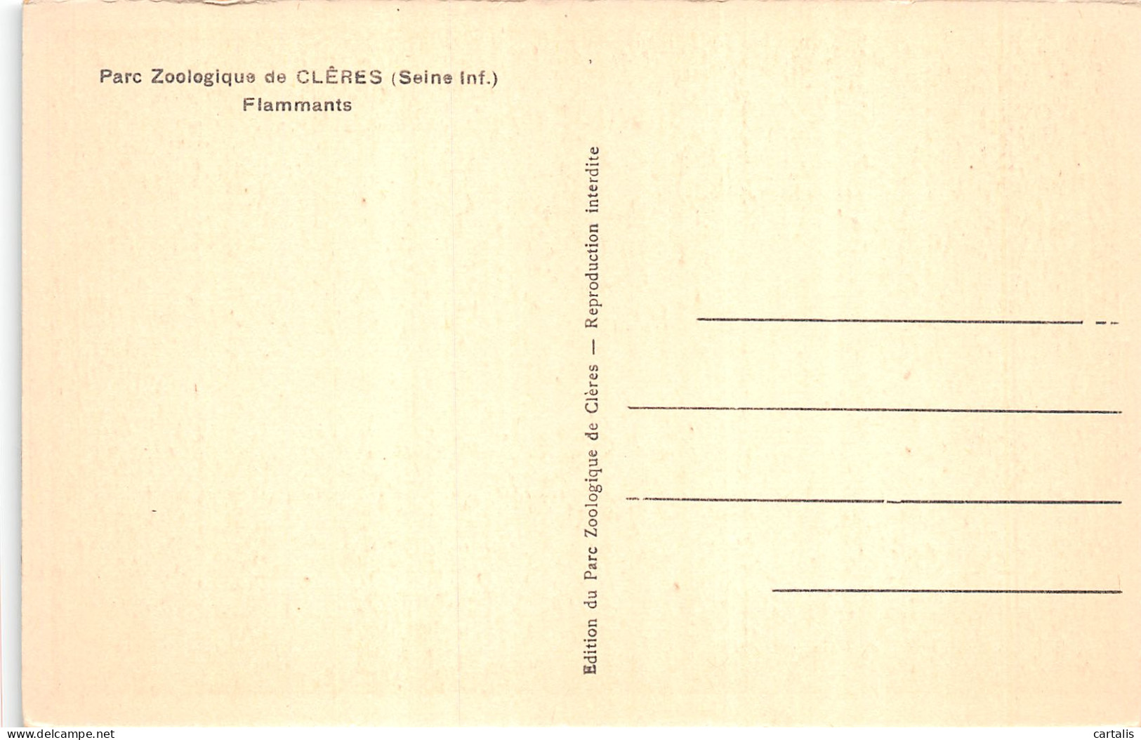 76-CLERES PARC ZOOLOGIQUES-N°4164-E/0157 - Clères