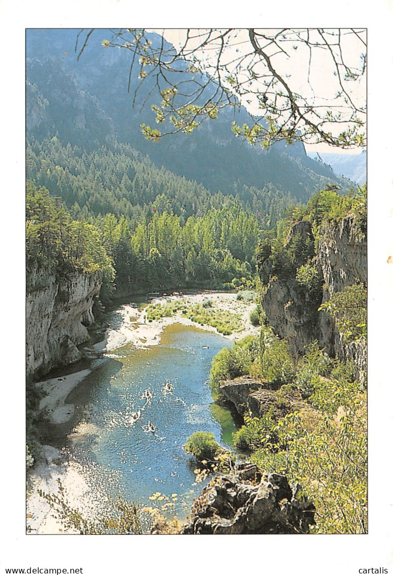 48-GORGES DU TARN DETROITS-N°4165-C/0335 - Gorges Du Tarn