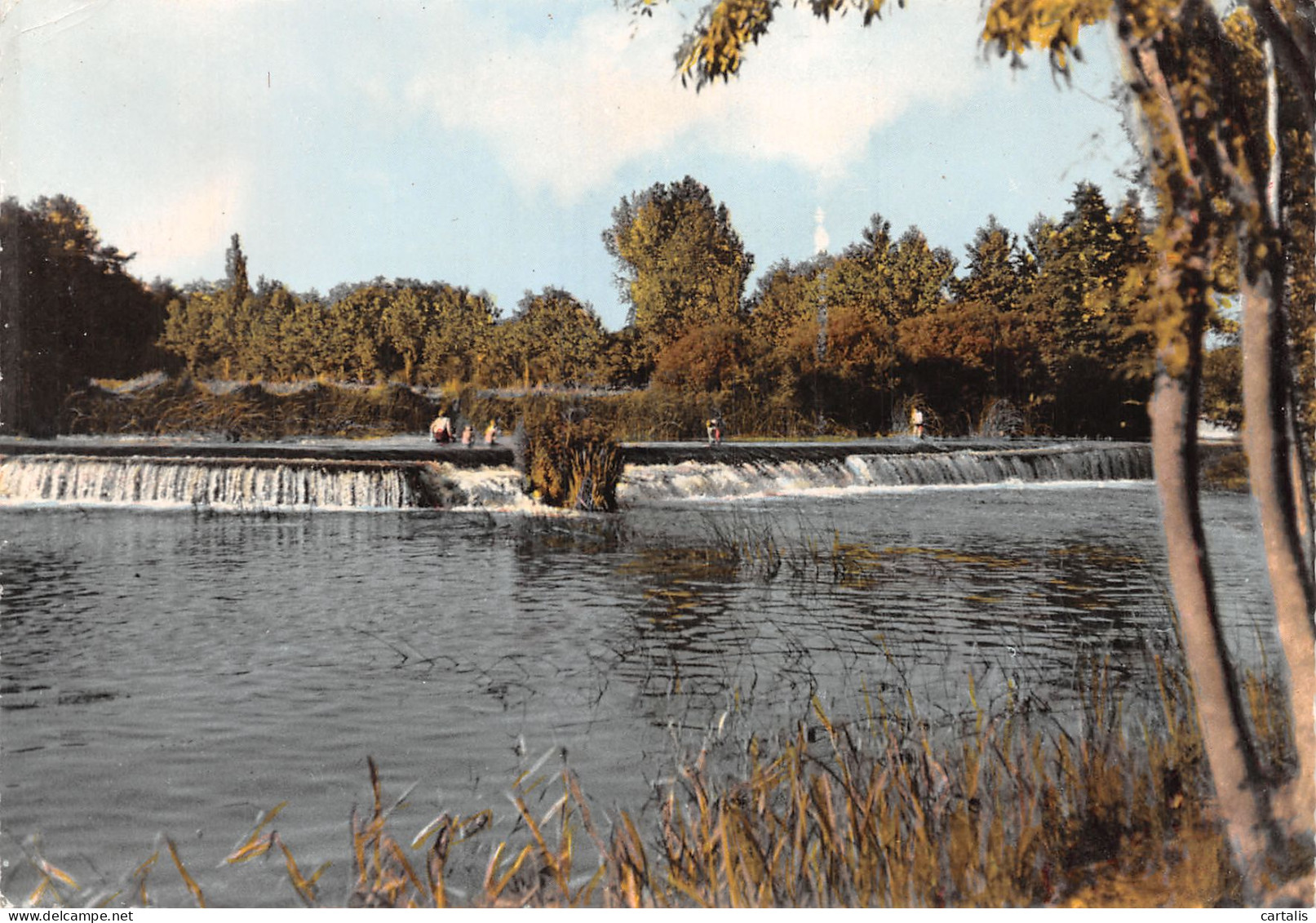 16-CHATEAUNEUF SUR CHARENTE-N°4167-C/0353 - Chateauneuf Sur Charente