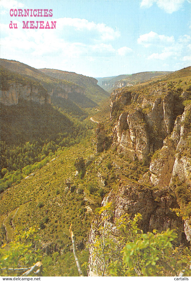 48-LES GORGES DE LA JONTE-N°4167-C/0287 - Autres & Non Classés