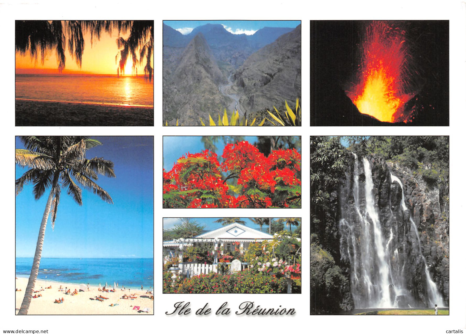 974-ILE DE LA REUNION-N°4168-A/0059 - Other & Unclassified