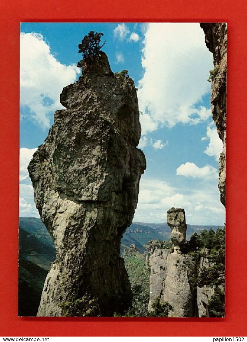 F-48-Lozere-01PH Les Corniches De La Jonte, Vue Du Vase De Sèvres, BE - Autres & Non Classés