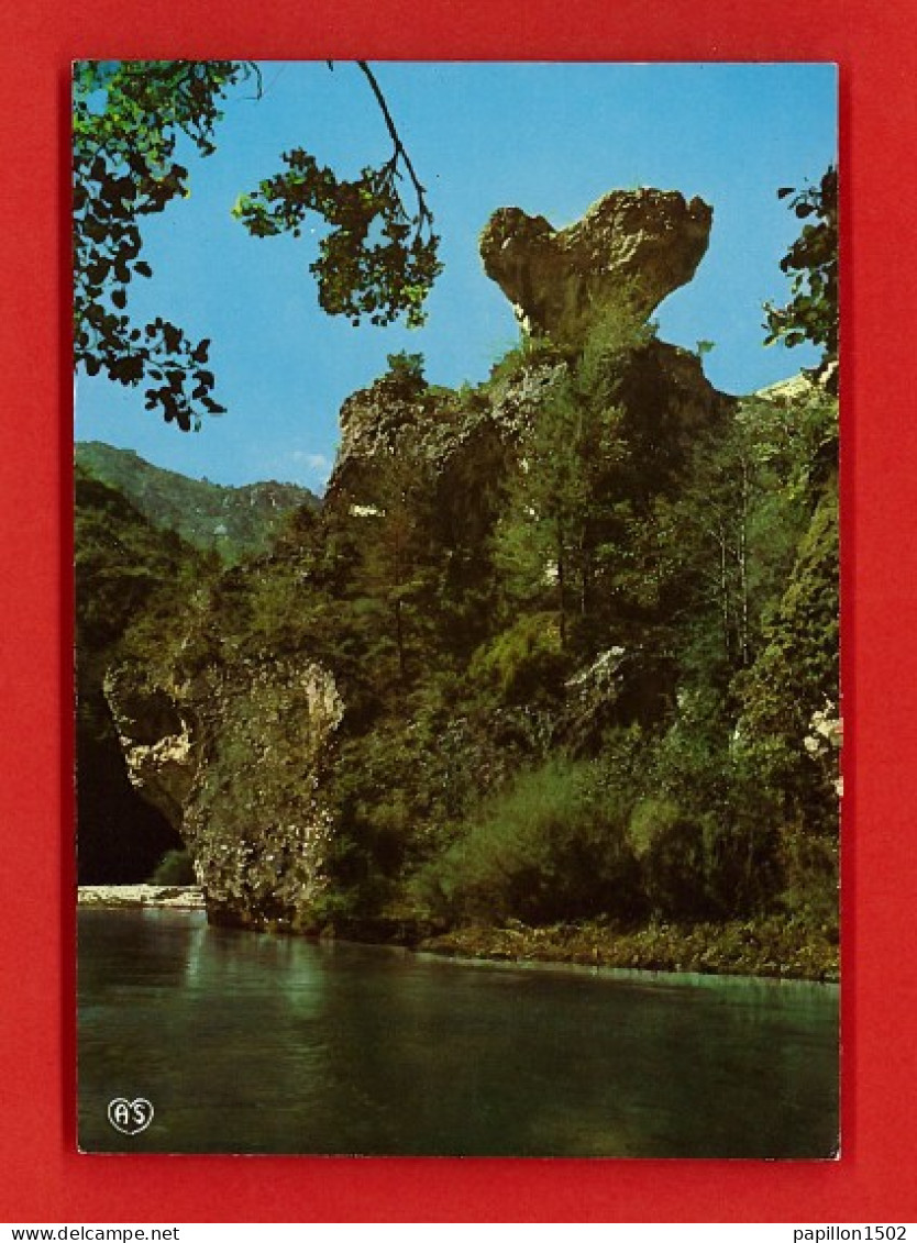 F-48-Lozere-10PH En Parcourant Les Gorges Du Tarn, Le Champignon, BE - Autres & Non Classés