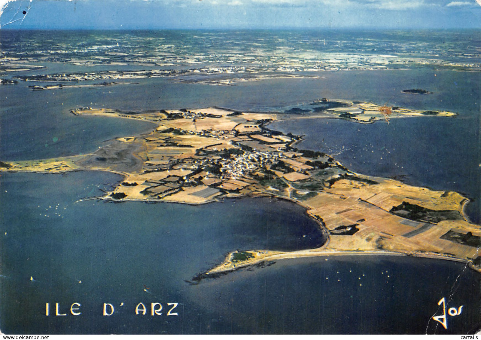 56-ILE D ARZ-N°4167-D/0017 - Ile D'Arz