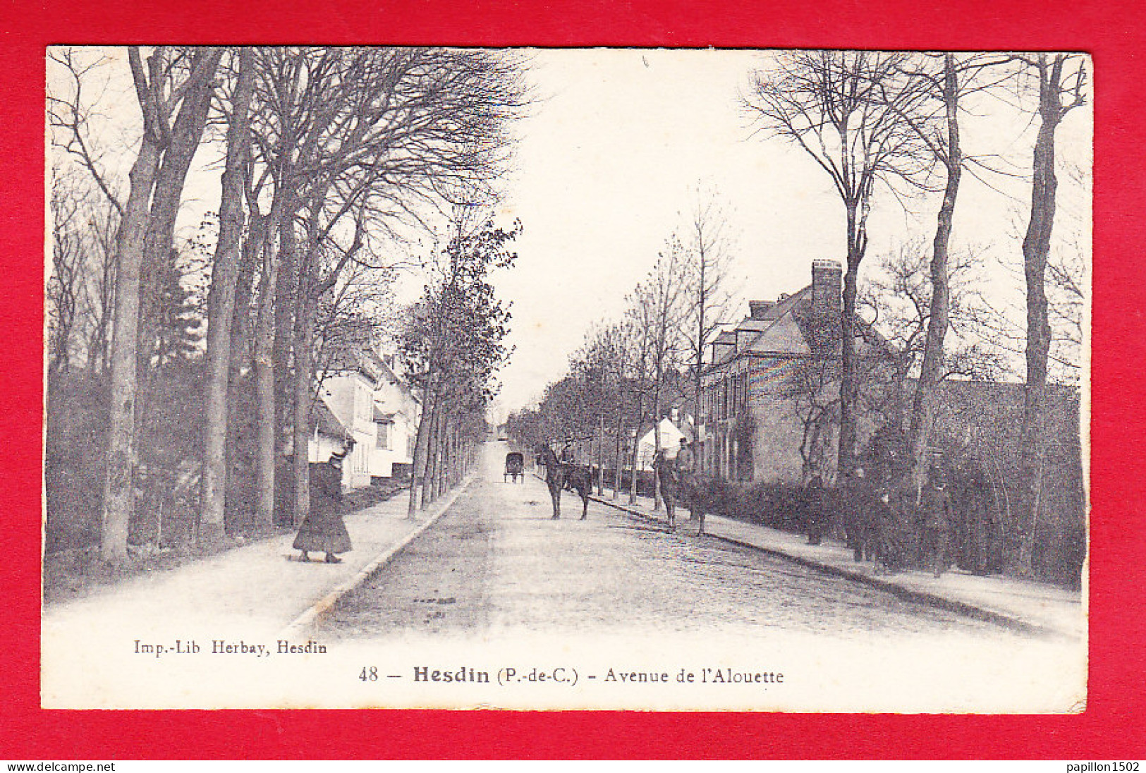 F-62-Hesdin-04P142  Avenue De L'alouette, Petite Animation, Cpa BE - Hesdin