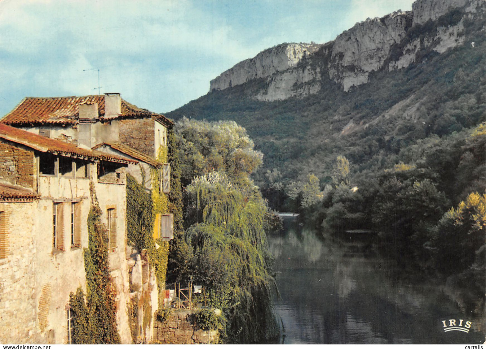 82-SAINT ANTONIN NOBLE VAL-N°4168-B/0355 - Saint Antonin Noble Val