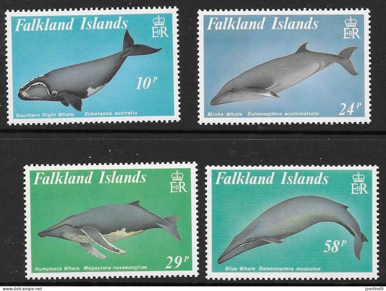 Falkland Islands: 1989 Baleen Whales, MNH Complete Set - Falklandeilanden