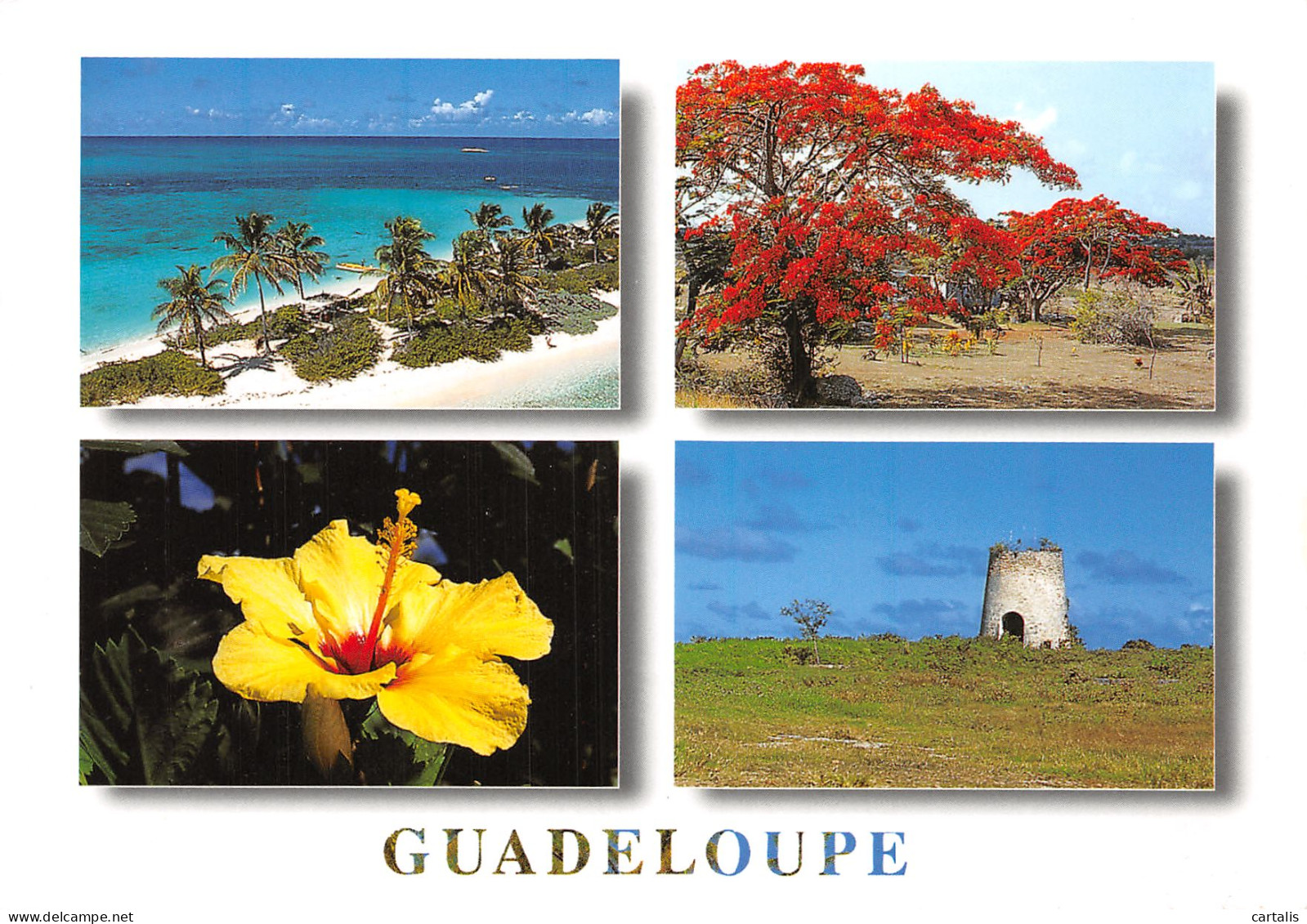 971-GUADELOUPE -N°4169-D/0221 - Sonstige & Ohne Zuordnung