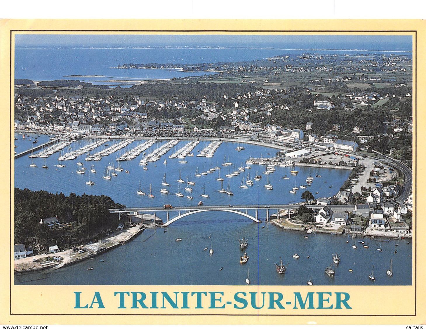 56-LA TRINITE SUR MER-N°4169-C/0173 - La Trinite Sur Mer