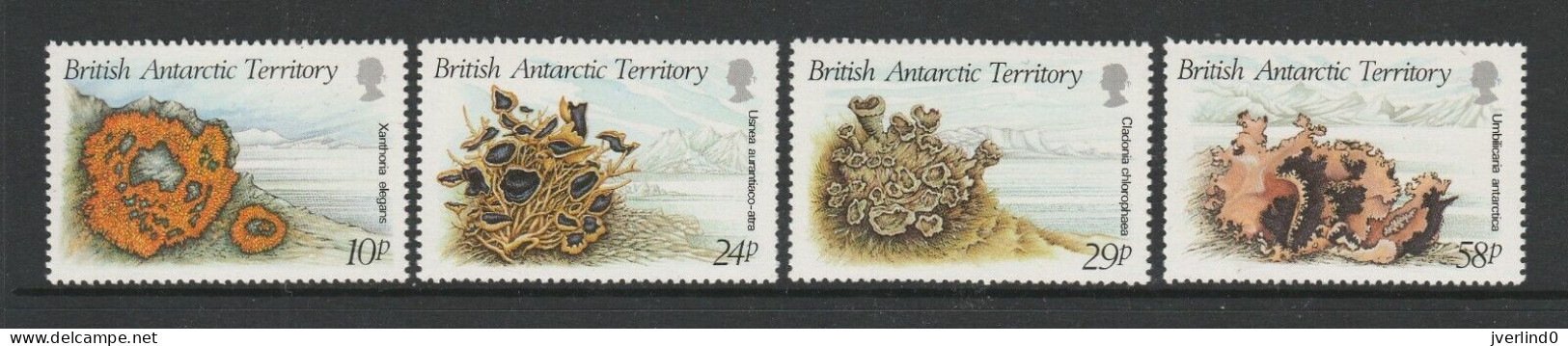 British Antarctic Territory Scott #149-52, MNH 1989, Lichens, Complete Set - Nuovi