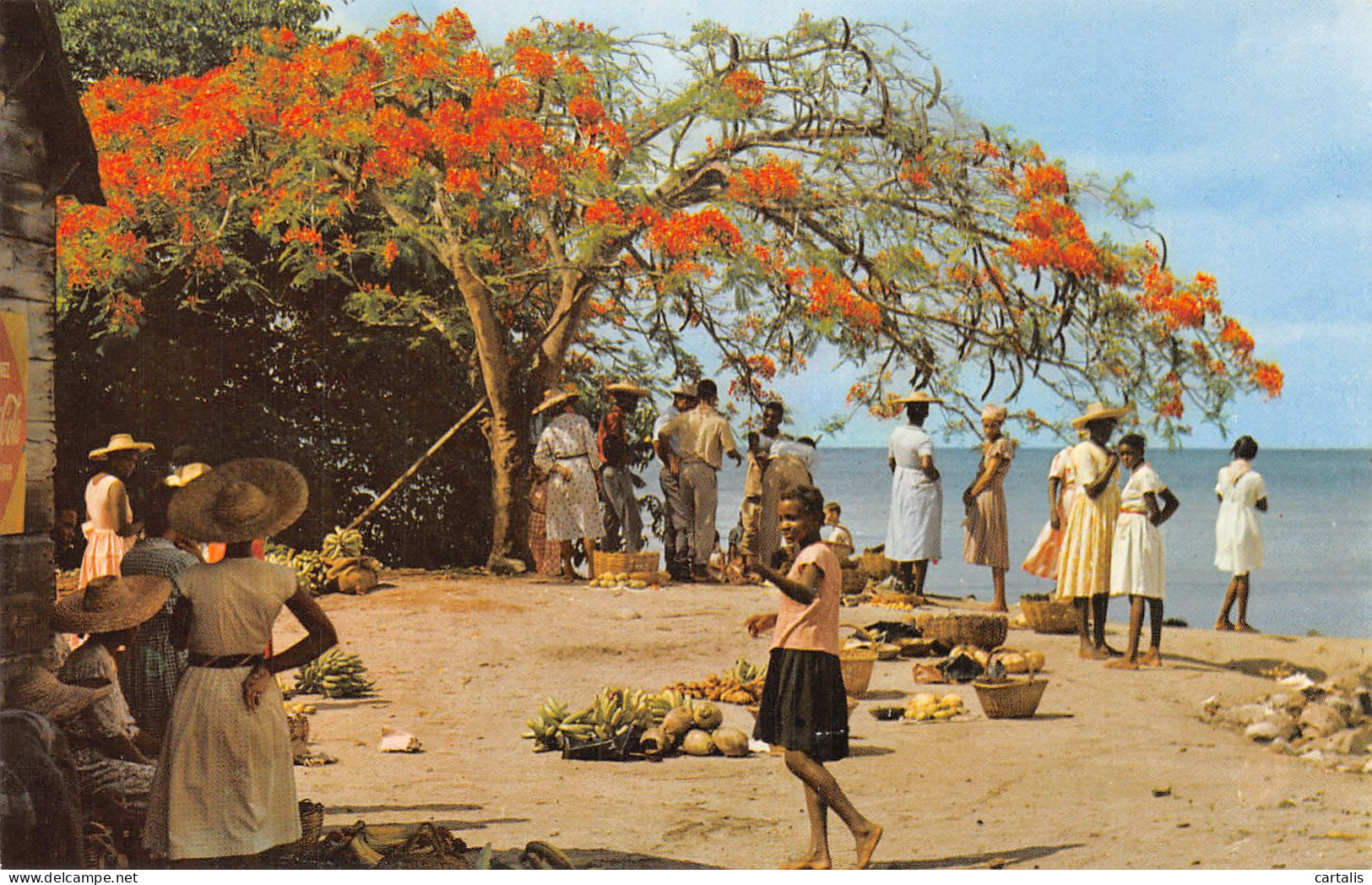 972-MARTINIQUE MARCHE EN PLEIN AIR-N°4173-A/0395 - Altri & Non Classificati