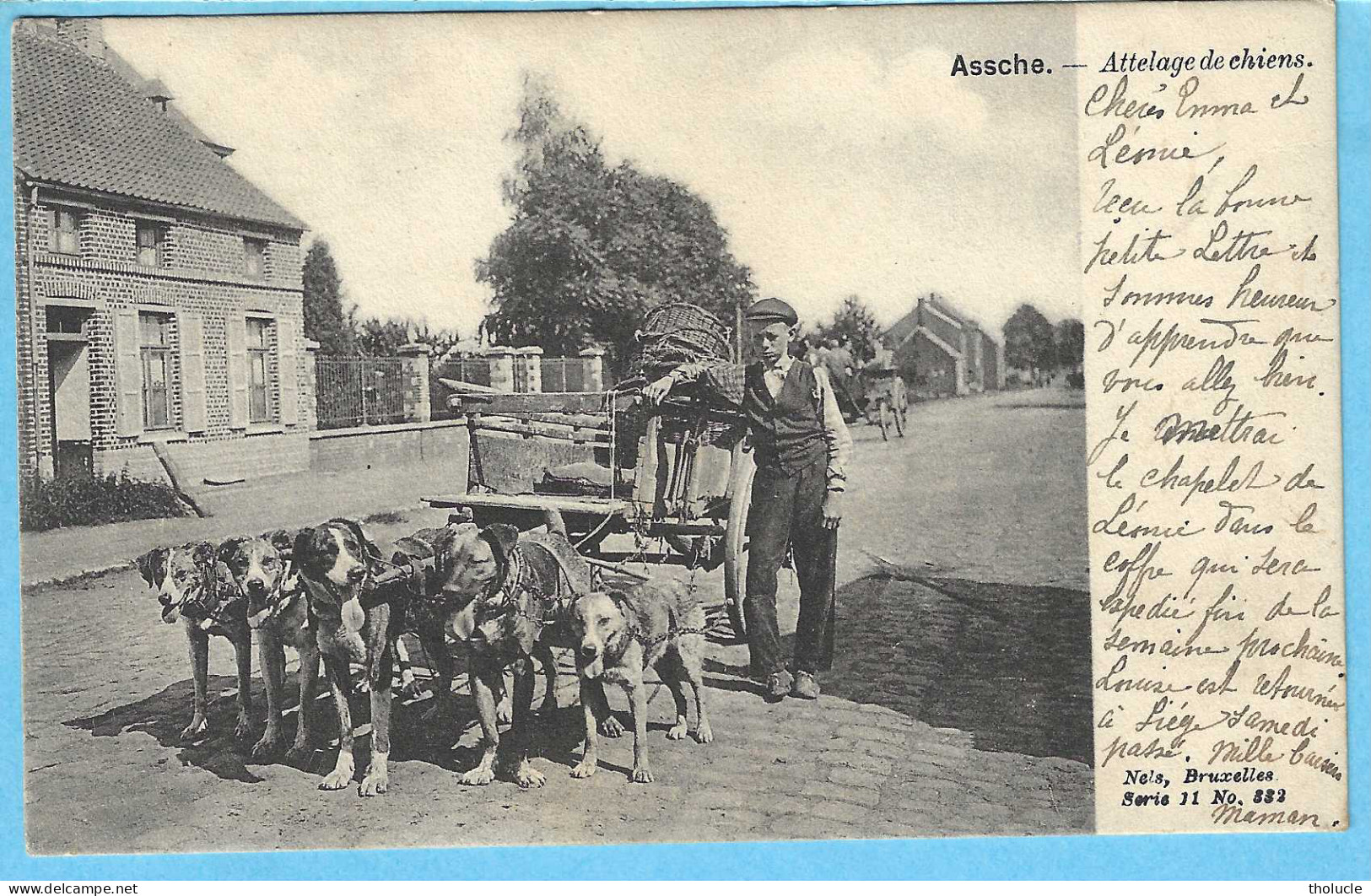 Asse-Assche-1901-Attelage De 5 Chiens-Hondenkar-Chien-Charrette à Chiens-édition Originale Nels - Asse