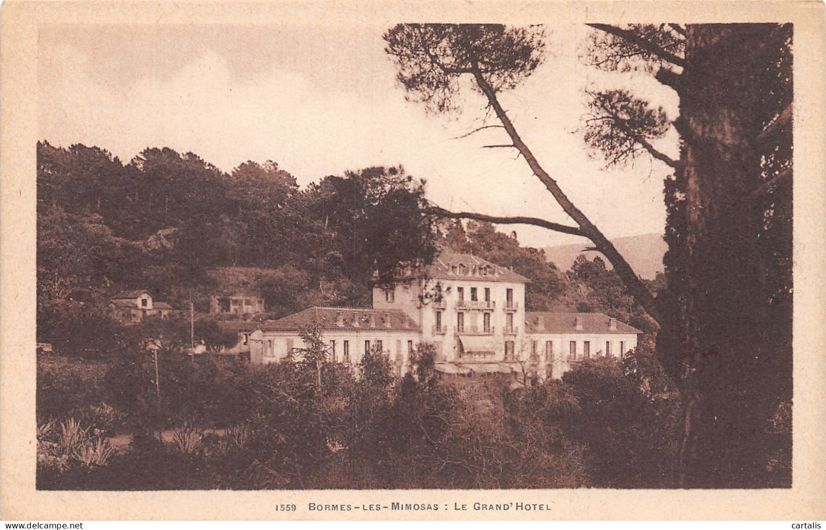 83-BORMES LES MIMOSAS-N°4174-A/0219 - Bormes-les-Mimosas