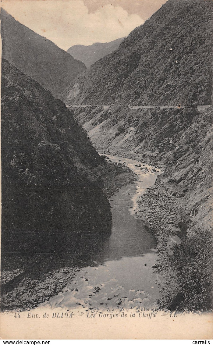 ALG-ALGERIE LES GORGES DE LA CHIFFA-N°4174-A/0105 - Sonstige & Ohne Zuordnung