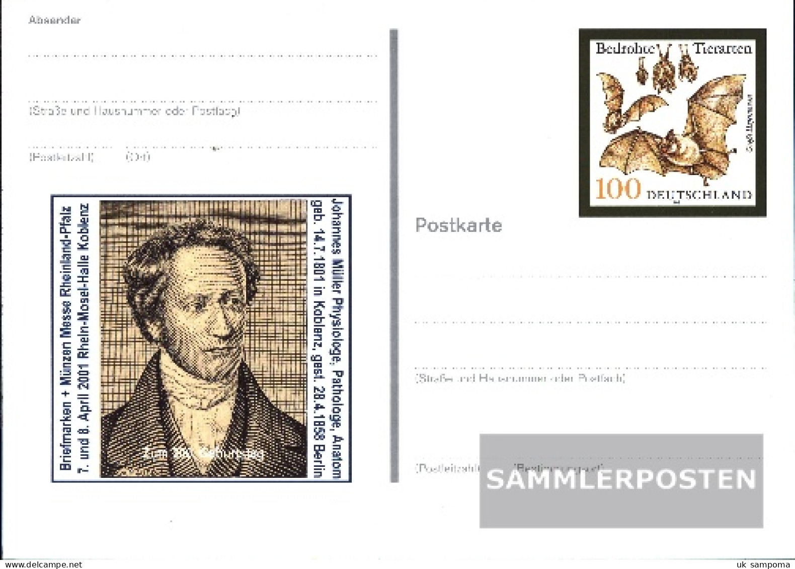 FRD (FR.Germany) PSo75 Special Postcards Gefälligkeitsgestempelt Used 2001 Large Horseshoe Bat - Autres & Non Classés