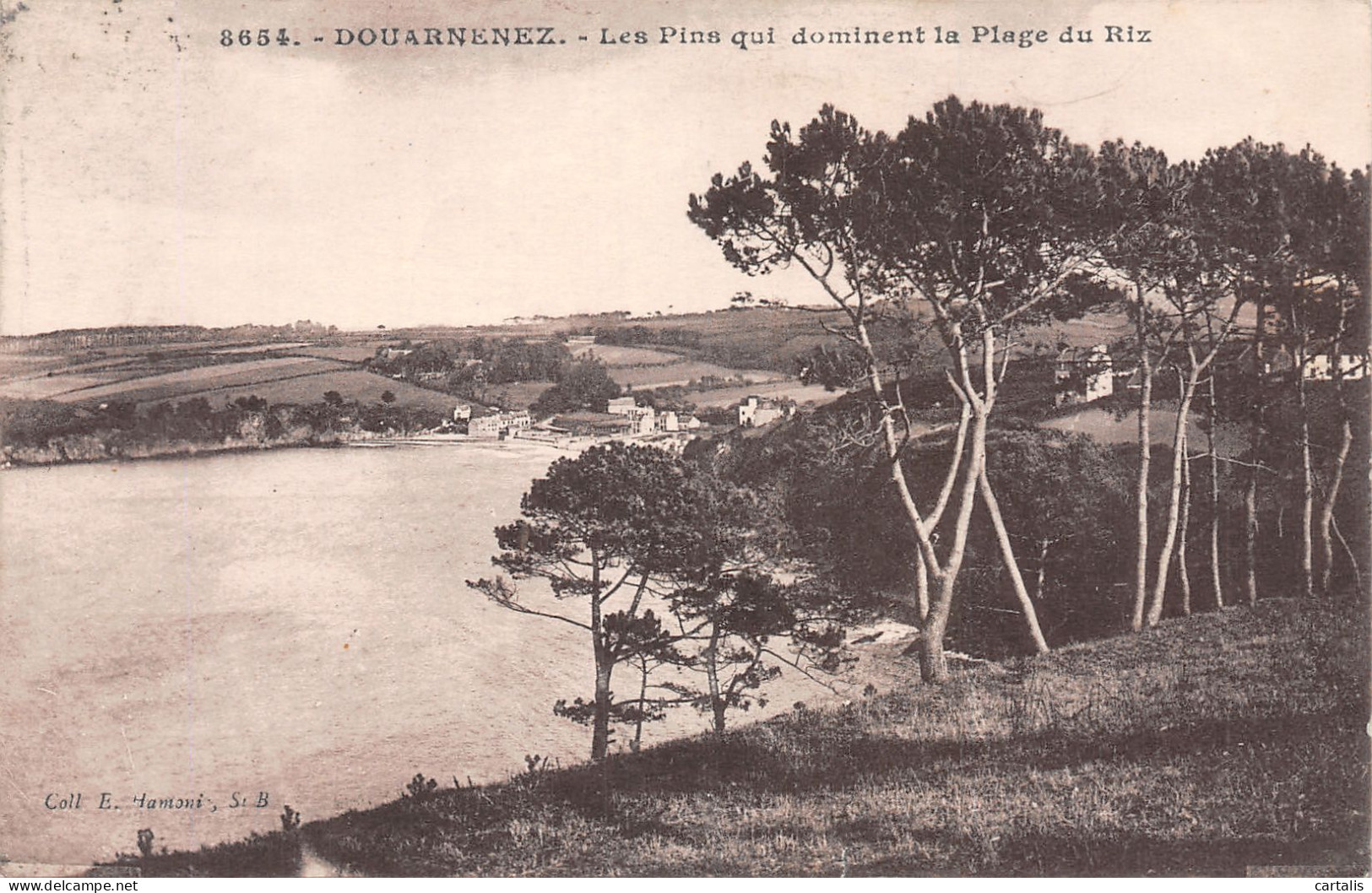 29-DOUARNENEZ-N°4175-C/0345 - Douarnenez