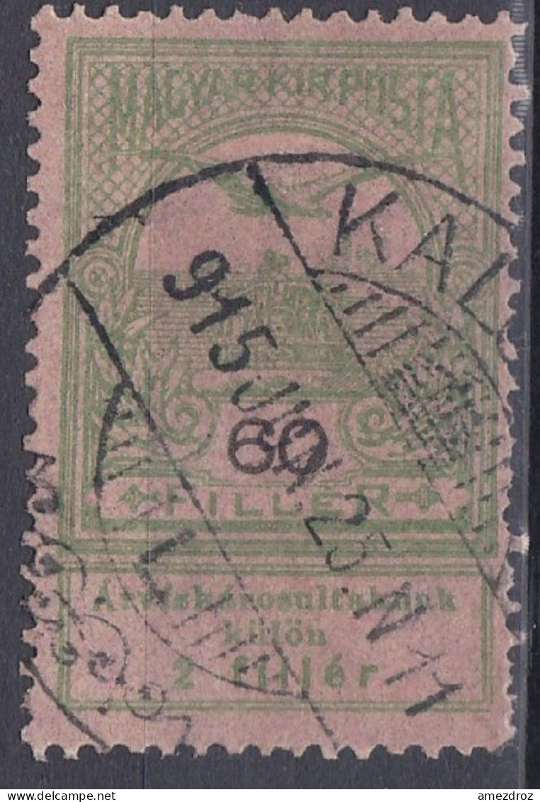 Hongrie 1913 Mi 141  Turul Sur La Couronne De Saint-Étienne Aide Aux Victimes Des Inondations    (A16) - Used Stamps